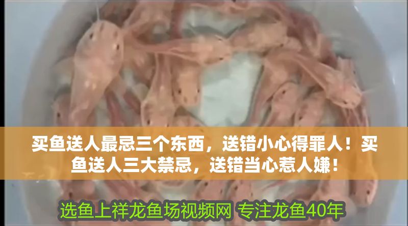 買魚送人最忌三個(gè)東西，送錯(cuò)小心得罪人！買魚送人三大禁忌，送錯(cuò)當(dāng)心惹人嫌！