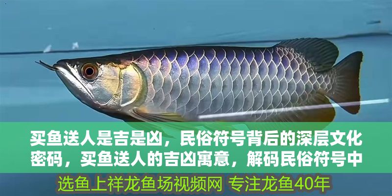 買魚送人是吉是兇，民俗符號背后的深層文化密碼，買魚送人的吉兇寓意，解碼民俗符號中的文化密碼