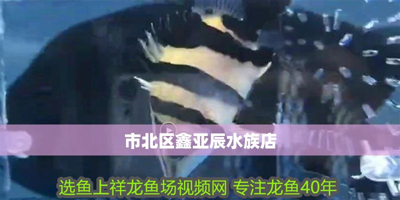 市北區鑫亞辰水族店