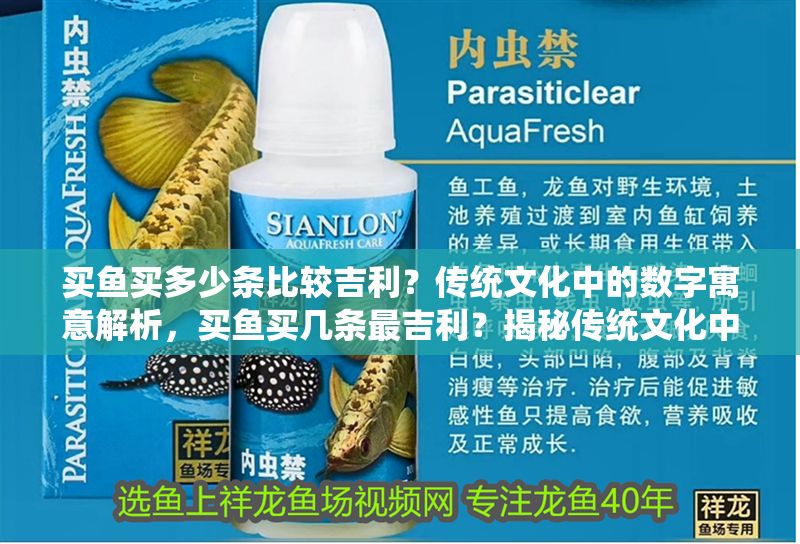 買魚買多少條比較吉利？傳統文化中的數字寓意解析，買魚買幾條最吉利？揭秘傳統文化中數字的吉祥寓意