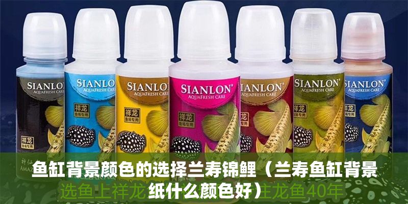 魚缸背景顏色的選擇蘭壽錦鯉（蘭壽魚缸背景紙什么顏色好）