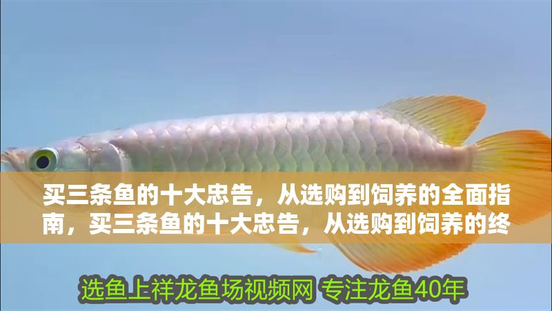 買三條魚的十大忠告，從選購到飼養的全面指南，買三條魚的十大忠告，從選購到飼養的終極指南