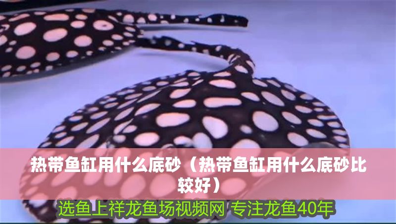 熱帶魚缸用什么底砂（熱帶魚缸用什么底砂比較好）