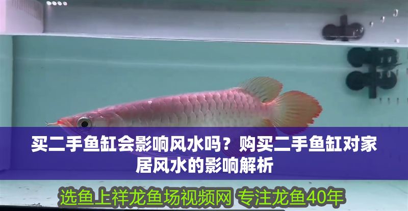 買二手魚缸會影響風水嗎？購買二手魚缸對家居風水的影響解析