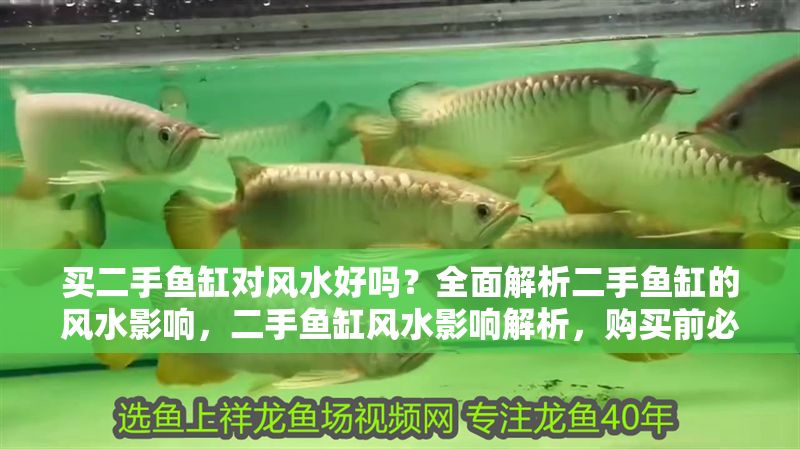 買二手魚缸對風水好嗎？全面解析二手魚缸的風水影響，二手魚缸風水影響解析，購買前必知的禁忌與講究