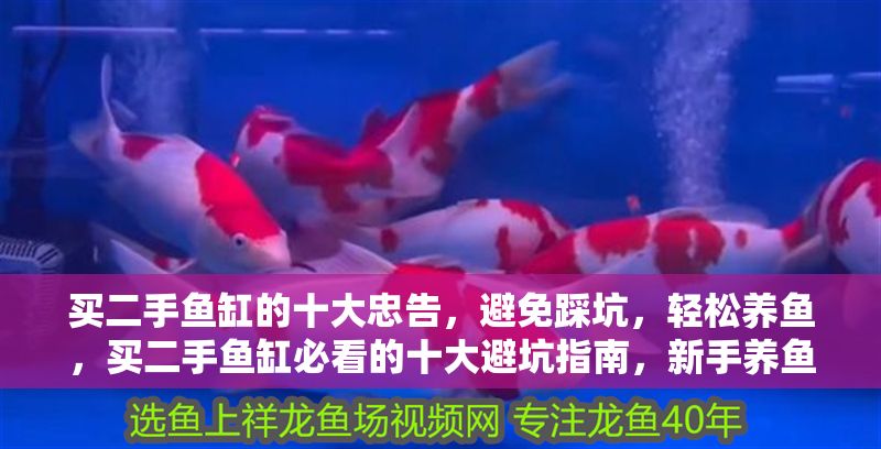 買二手魚缸的十大忠告，避免踩坑，輕松養魚，買二手魚缸必看的十大避坑指南，新手養魚無憂