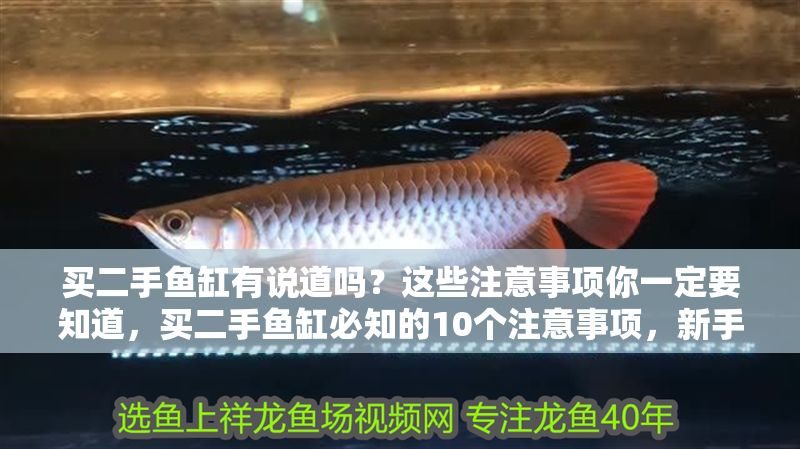 買二手魚缸有說道嗎？這些注意事項你一定要知道，買二手魚缸必知的10個注意事項，新手避坑指南！