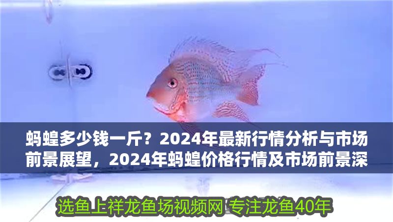 螞蝗多少錢一斤？2024年最新行情分析與市場前景展望，2024年螞蝗價格行情及市場前景深度分析 螞蝗多少錢一斤？2024年最新行情分析與市場前景展望，2024年螞蝗價格行情及市場前景深度分析 龍魚百科 第1張