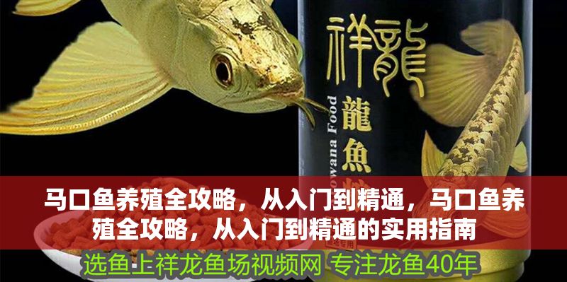 馬口魚養殖全攻略，從入門到精通，馬口魚養殖全攻略，從入門到精通的實用指南