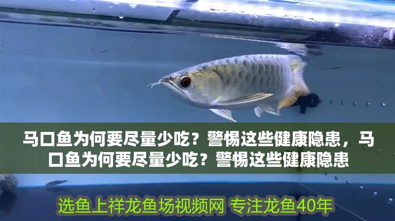 馬口魚為何要盡量少吃？警惕這些健康隱患，馬口魚為何要盡量少吃？警惕這些健康隱患