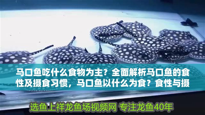 馬口魚吃什么食物為主？全面解析馬口魚的食性及攝食習慣，馬口魚以什么為食？食性與攝食習慣全解析