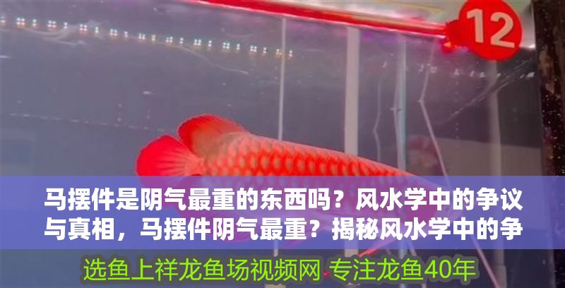 馬擺件是陰氣最重的東西嗎？風水學中的爭議與真相，馬擺件陰氣最重？揭秘風水學中的爭議與真相