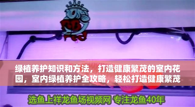 綠植養(yǎng)護(hù)知識(shí)和方法，打造健康繁茂的室內(nèi)花園，室內(nèi)綠植養(yǎng)護(hù)全攻略，輕松打造健康繁茂的居家花園