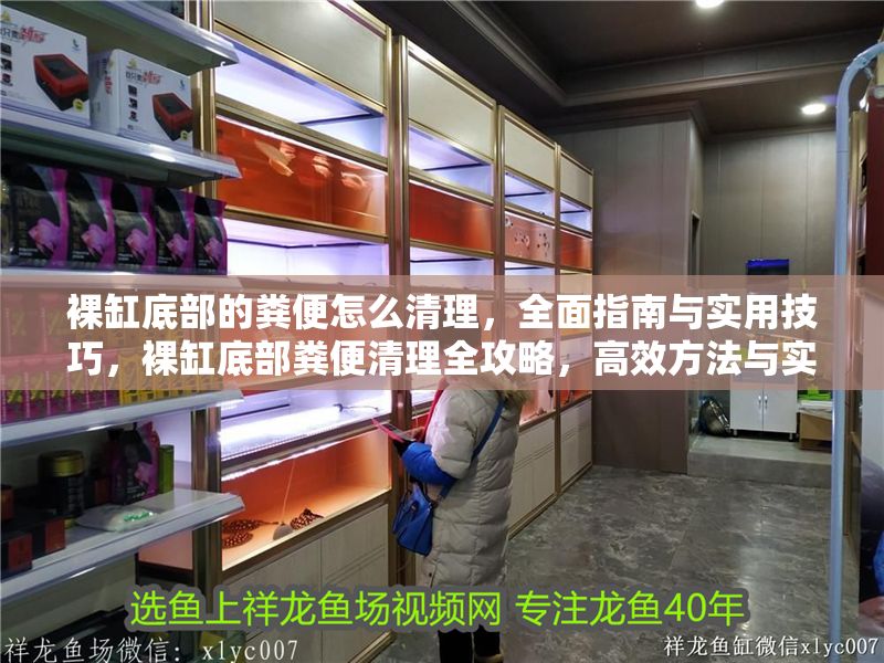 裸缸底部的糞便怎么清理，全面指南與實用技巧，裸缸底部糞便清理全攻略，高效方法與實用技巧