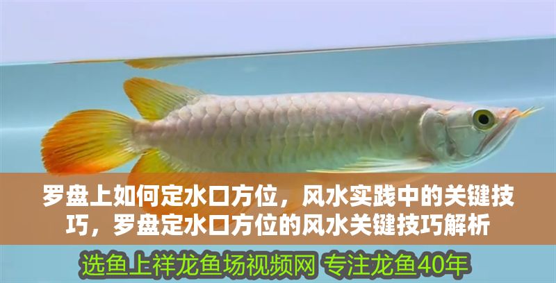 羅盤上如何定水口方位，風水實踐中的關鍵技巧，羅盤定水口方位的風水關鍵技巧解析