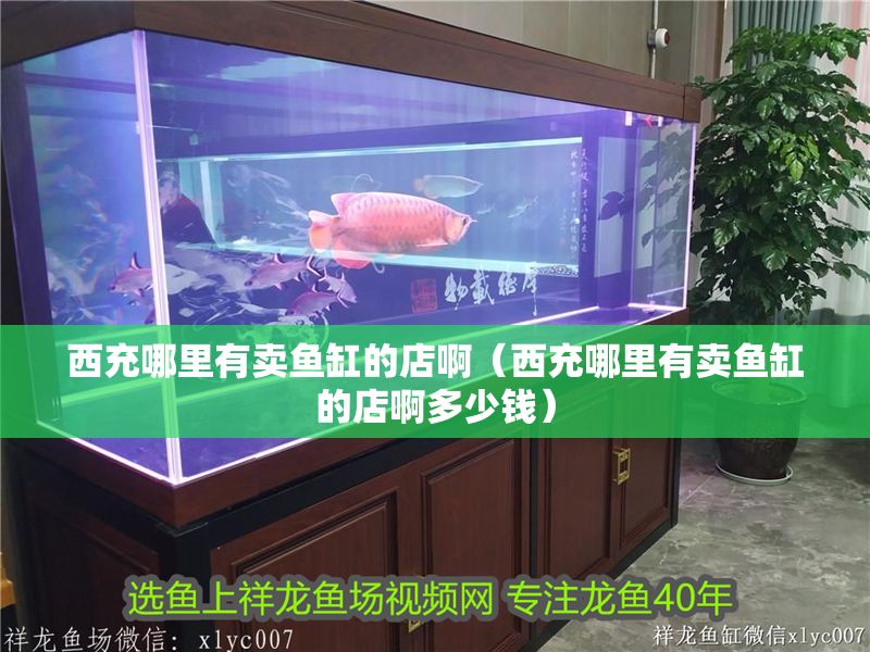 <strong><mark>西充</mark></strong>哪里有賣魚缸的店啊（<strong><mark>西充</mark></strong>哪里有賣魚缸的店啊多少錢）