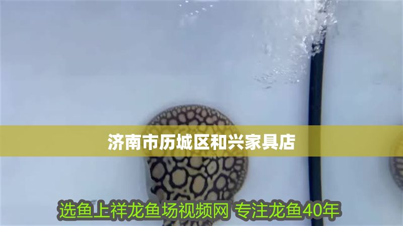 濟南市歷城區和興家具店