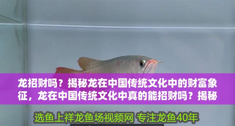 龍招財嗎？揭秘龍在中國傳統文化中的財富象征，龍在中國傳統文化中真的能招財嗎？揭秘龍的財富象征意義，龍在中國傳統文化中真的能招財嗎？揭秘龍的財富象征