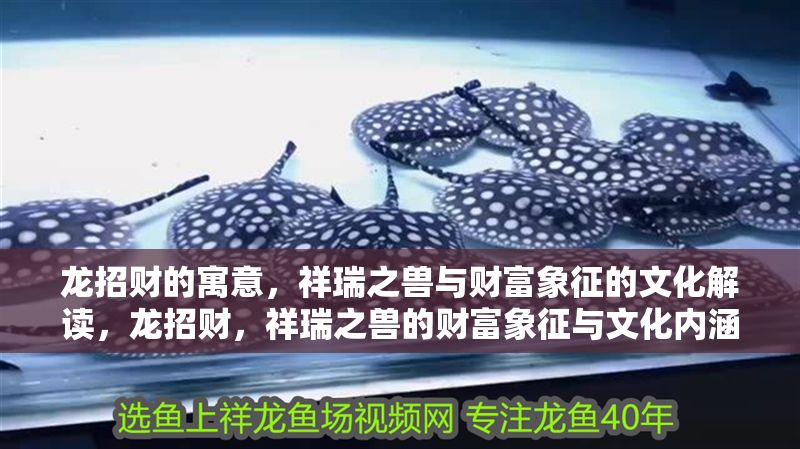 龍招財的寓意，祥瑞之獸與財富象征的文化解讀，龍招財，祥瑞之獸的財富象征與文化內涵解析，龍招財，祥瑞之獸的財富象征與文化內涵解析