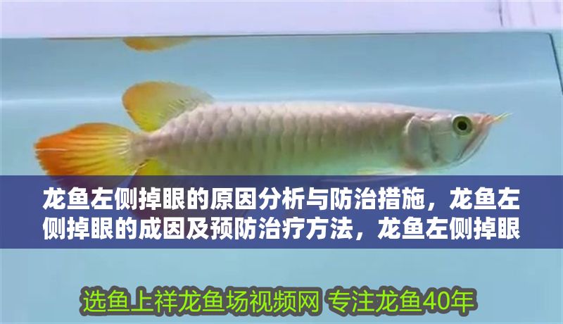 龍魚左側掉眼的原因分析與防治措施，龍魚左側掉眼的成因及預防治療方法，龍魚左側掉眼的成因與防治方法解析 龍魚左側掉眼的原因分析與防治措施，龍魚左側掉眼的成因及預防治療方法，龍魚左側掉眼的成因與防治方法解析 龍魚百科 第1張