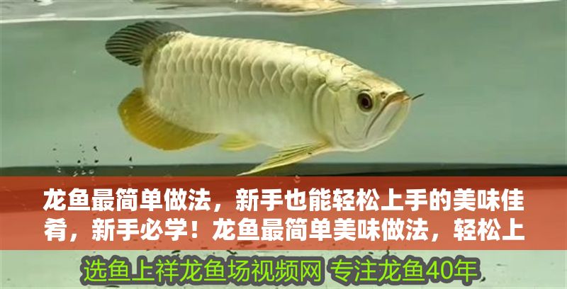 龍魚最簡單做法，新手也能輕松上手的美味佳肴，新手必學(xué)！龍魚最簡單美味做法，輕松上手零失敗，新手必學(xué)！零失敗龍魚最簡單美味做法