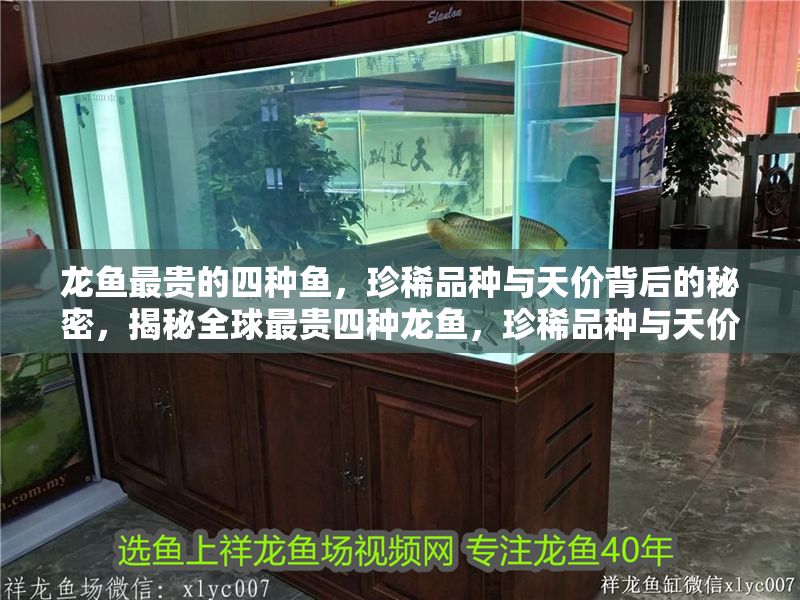 龍魚最貴的四種魚，珍稀品種與天價背后的秘密，揭秘全球最貴四種龍魚，珍稀品種與天價背后的秘密，揭秘全球最貴四種龍魚，珍稀品種與天價背后的秘密