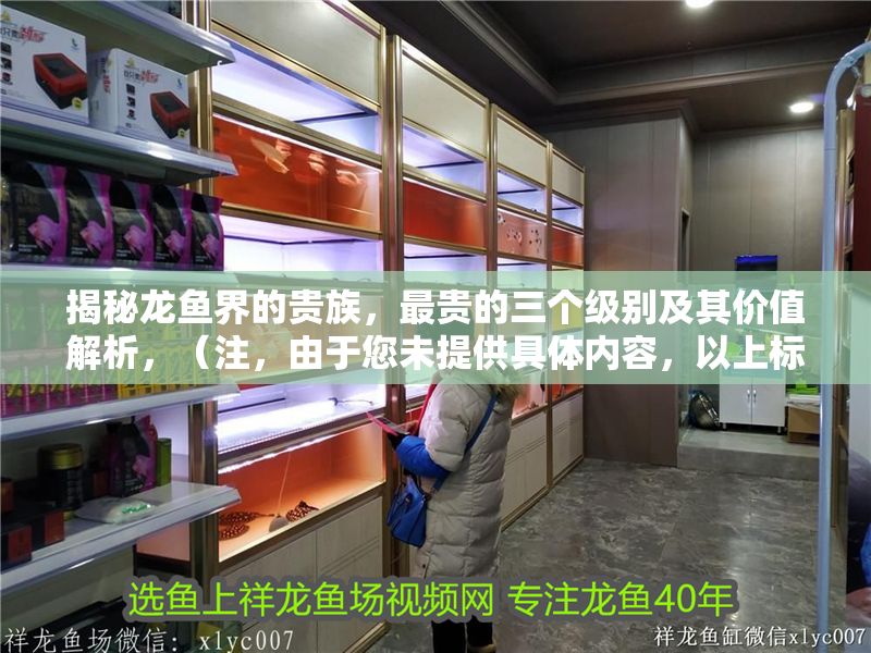 揭秘龍魚界的貴族，最貴的三個級別及其價值解析，（注，由于您未提供具體內容，以上標題是根據龍魚貴族級別價值等關鍵詞推測生成的示例。如需更精準的標題，請補充具體內容要求。）龍魚貴族等級全揭秘，頂級品系與天價背后的價值解析