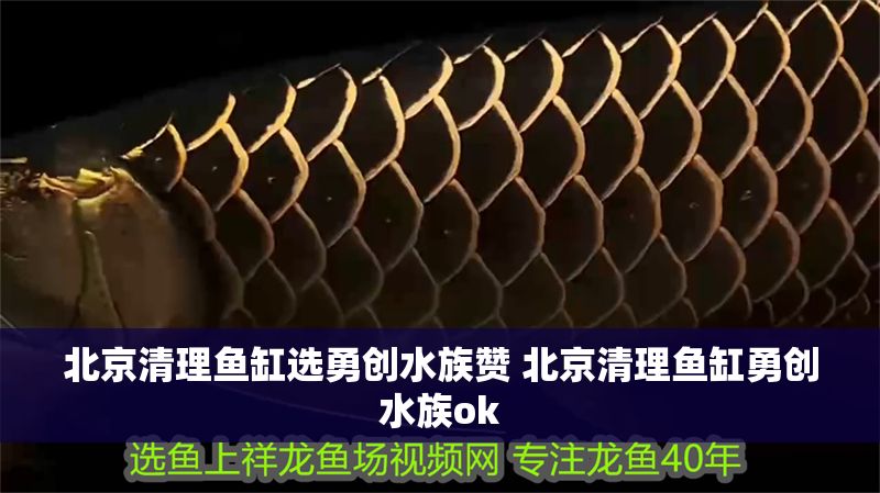 北京清理魚缸選勇創水族贊 北京清理魚缸勇創水族ok