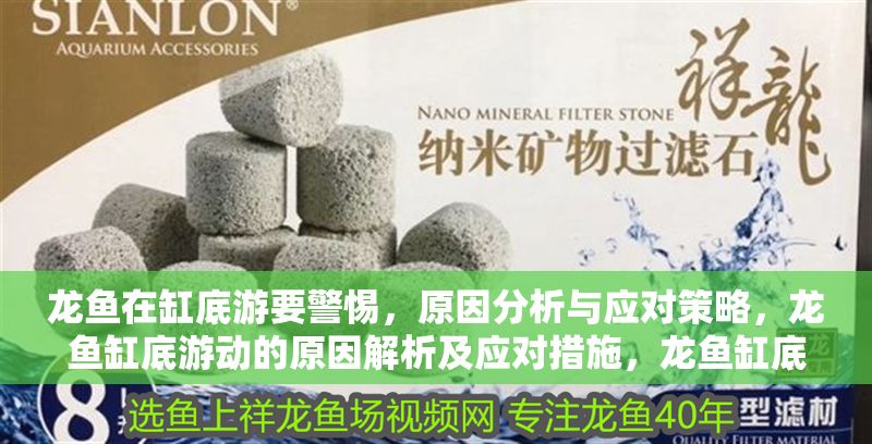 龍魚在缸底游要警惕，原因分析與應對策略，龍魚缸底游動的原因解析及應對措施，龍魚缸底游動的原因解析及應對措施