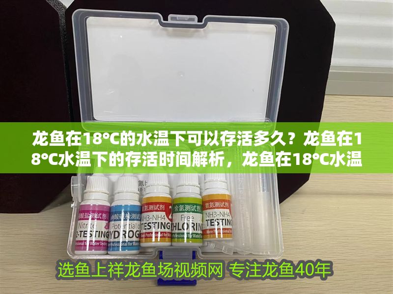 龍魚在18℃的水溫下可以存活多久？龍魚在18℃水溫下的存活時間解析，龍魚在18℃水溫下的存活時間及影響因素分析 龍魚在18℃的水溫下可以存活多久？龍魚在18℃水溫下的存活時間解析，龍魚在18℃水溫下的存活時間及影響因素分析 龍魚百科 第1張