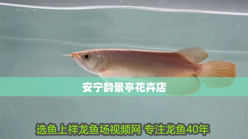 安寧韻景亭花卉店