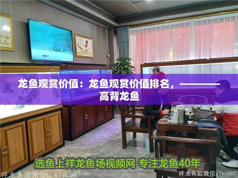 龍魚觀賞價值：龍魚觀賞價值排名，————高背龍魚