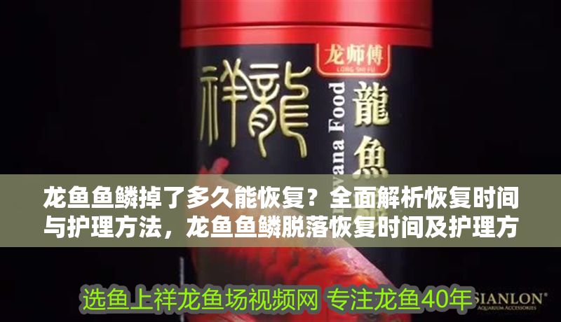龍魚魚鱗掉了多久能恢復？全面解析恢復時間與護理方法，龍魚魚鱗脫落恢復時間及護理方法全解析，龍魚魚鱗脫落恢復時間及護理方法全解析
