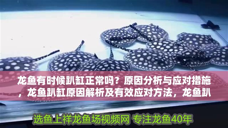 龍魚有時候趴缸正常嗎？原因分析與應對措施，龍魚趴缸原因解析及有效應對方法，龍魚趴缸原因解析及應對措施