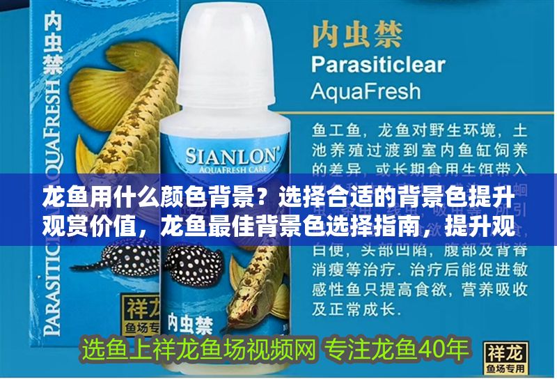 龍魚用什么顏色背景？選擇合適的背景色提升觀賞價值，龍魚最佳背景色選擇指南，提升觀賞價值的色彩搭配技巧，龍魚最佳背景色選擇指南，提升觀賞價值的色彩搭配技巧 龍魚用什么顏色背景？選擇合適的背景色提升觀賞價值，龍魚最佳背景色選擇指南，提升觀賞價值的色彩搭配技巧，龍魚最佳背景色選擇指南，提升觀賞價值的色彩搭配技巧 龍魚百科 第1張