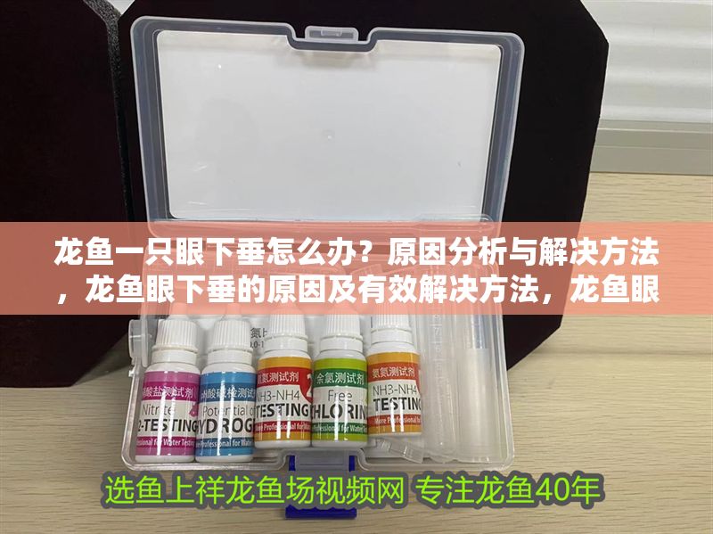 龍魚一只眼下垂怎么辦？原因分析與解決方法，龍魚眼下垂的原因及有效解決方法，龍魚眼下垂的原因及解決全攻略 龍魚一只眼下垂怎么辦？原因分析與解決方法，龍魚眼下垂的原因及有效解決方法，龍魚眼下垂的原因及解決全攻略 龍魚百科 第1張