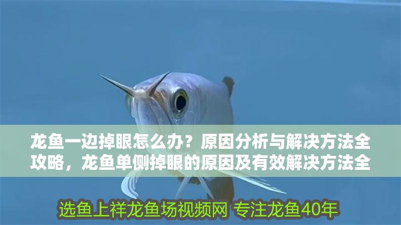 龍魚一邊掉眼怎么辦？原因分析與解決方法全攻略，龍魚單側掉眼的原因及有效解決方法全解析，龍魚單側掉眼原因與解決全攻略