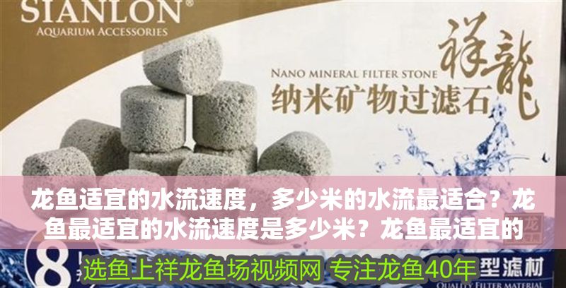 龍魚適宜的水流速度，多少米的水流最適合？龍魚最適宜的水流速度是多少米？龍魚最適宜的水流速度是多少米？