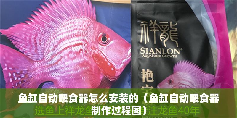 魚缸自動喂食器怎么安裝的（魚缸自動喂食器制作過程圖）