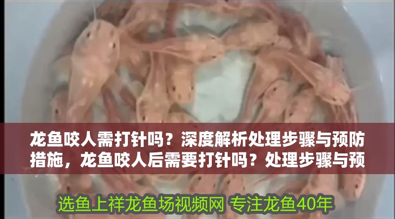 龍魚咬人需打針嗎？深度解析處理步驟與預(yù)防措施，龍魚咬人后需要打針嗎？處理步驟與預(yù)防措施全解析，龍魚咬人后的處理步驟與預(yù)防措施全解析