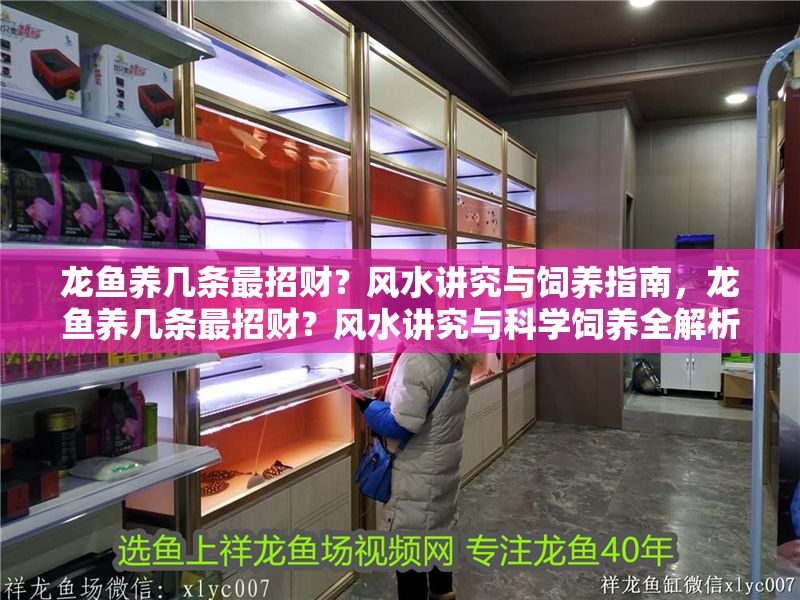 龍魚養幾條最招財？風水講究與飼養指南，龍魚養幾條最招財？風水講究與科學飼養全解析，龍魚招財風水，飼養數量與科學指南全解析