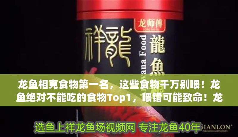 龍魚相克食物第一名，這些食物千萬別喂！龍魚絕對不能吃的食物Top1，喂錯可能致命！龍魚絕對不能吃的致命食物Top1，喂錯可能危及生命！