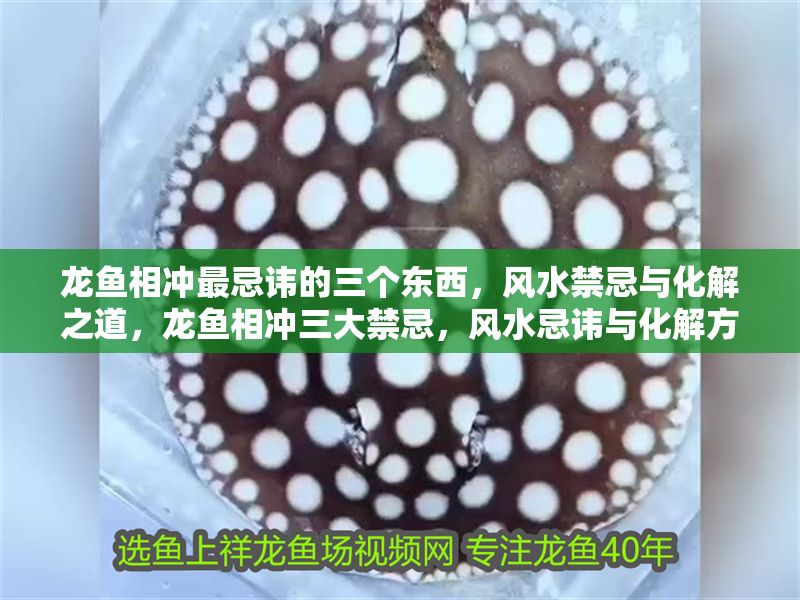 龍魚相沖最忌諱的三個東西，風水禁忌與化解之道，龍魚相沖三大禁忌，風水忌諱與化解方法全解析，龍魚相沖三大風水禁忌與化解方法全解析