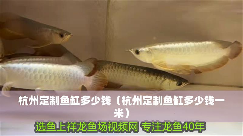 杭州定制魚(yú)缸多少錢(qián)（杭州定制魚(yú)缸多少錢(qián)一米）