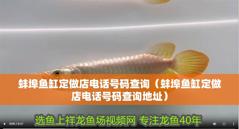 蚌埠魚缸定做店電話號碼查詢（蚌埠魚缸定做店電話號碼查詢地址）