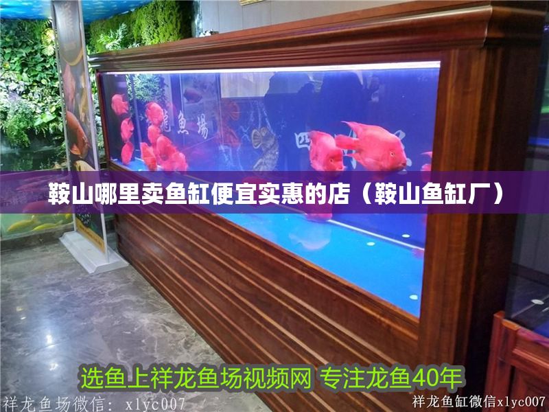 <strong><mark>鞍山</mark></strong>哪里賣魚缸便宜實惠的店（<strong><mark>鞍山</mark></strong>魚缸廠）