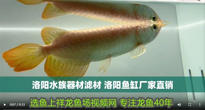 洛陽水族器材濾材 洛陽魚缸廠家直銷