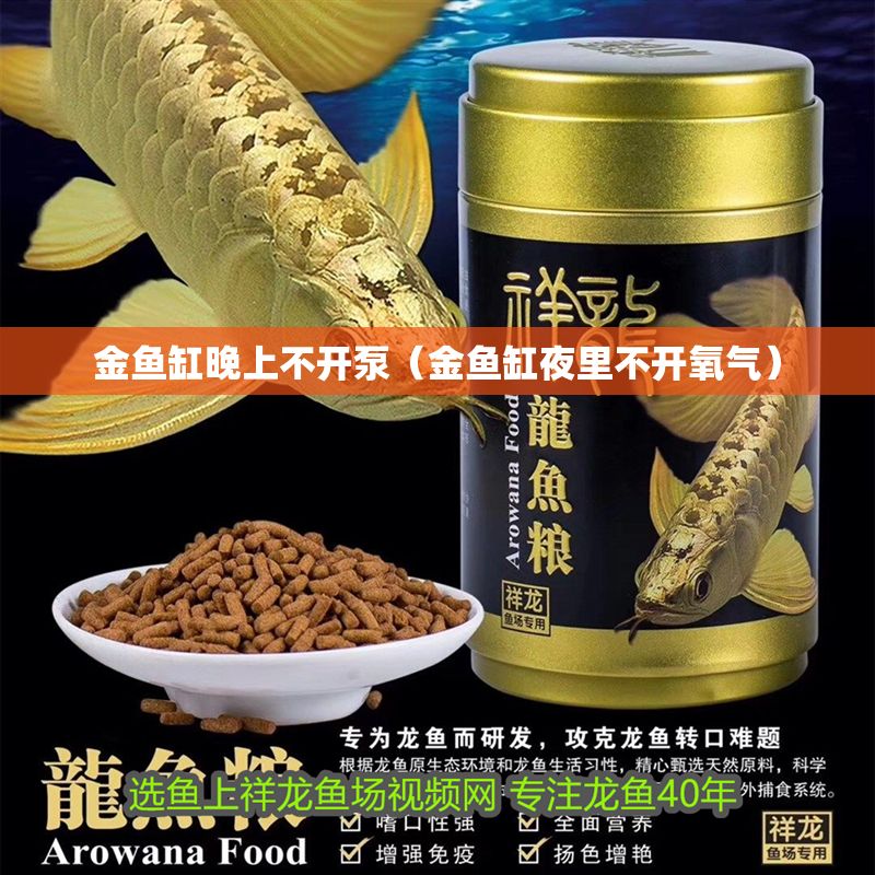 金魚缸晚上不開泵（金魚缸夜里不開氧氣） 金魚缸晚上不開泵（金魚缸夜里不開氧氣） 龍魚百科 第1張