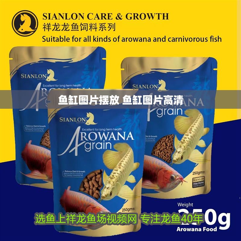 魚缸圖片擺放 魚缸圖片高清