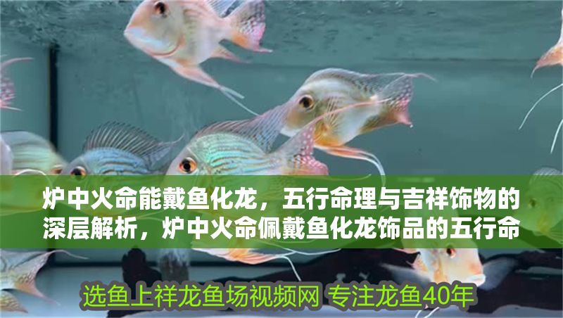 爐中火命能戴魚化龍，五行命理與吉祥飾物的深層解析，爐中火命佩戴魚化龍飾品的五行命理與吉祥寓意解析，爐中火命佩戴魚化龍飾品的五行命理與吉祥寓意解析